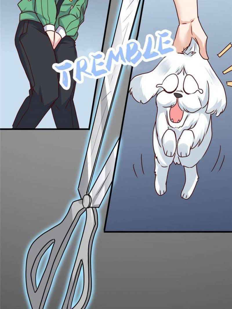 Page 49 of Chapter 66