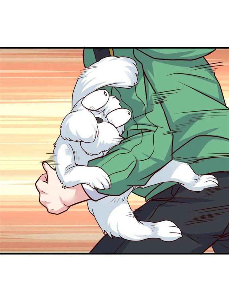 Page 4 of Chapter 67