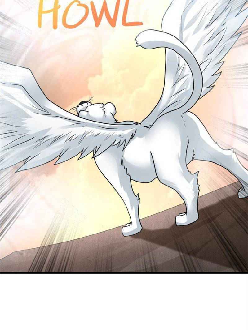 Page 17 of Chapter 72