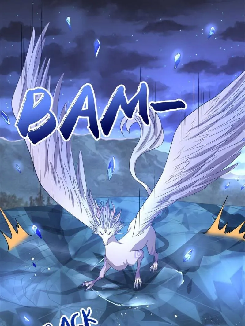 Page 13 of Chapter 164