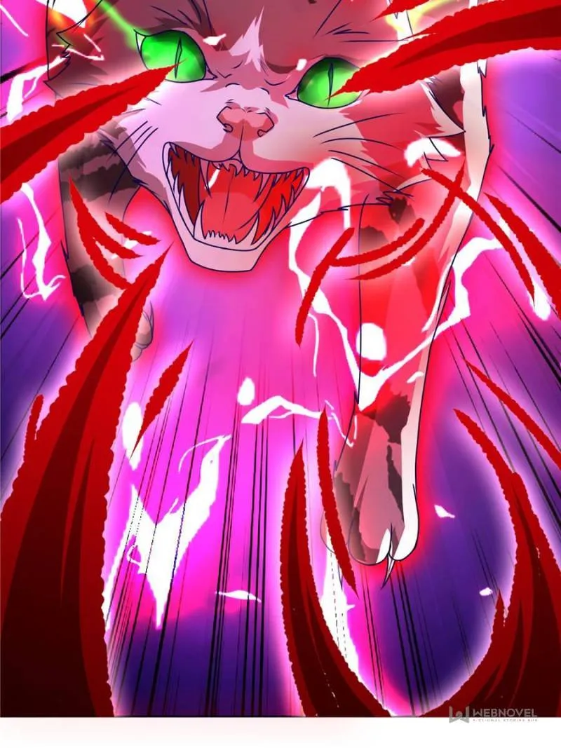 Page 5 of Chapter 172
