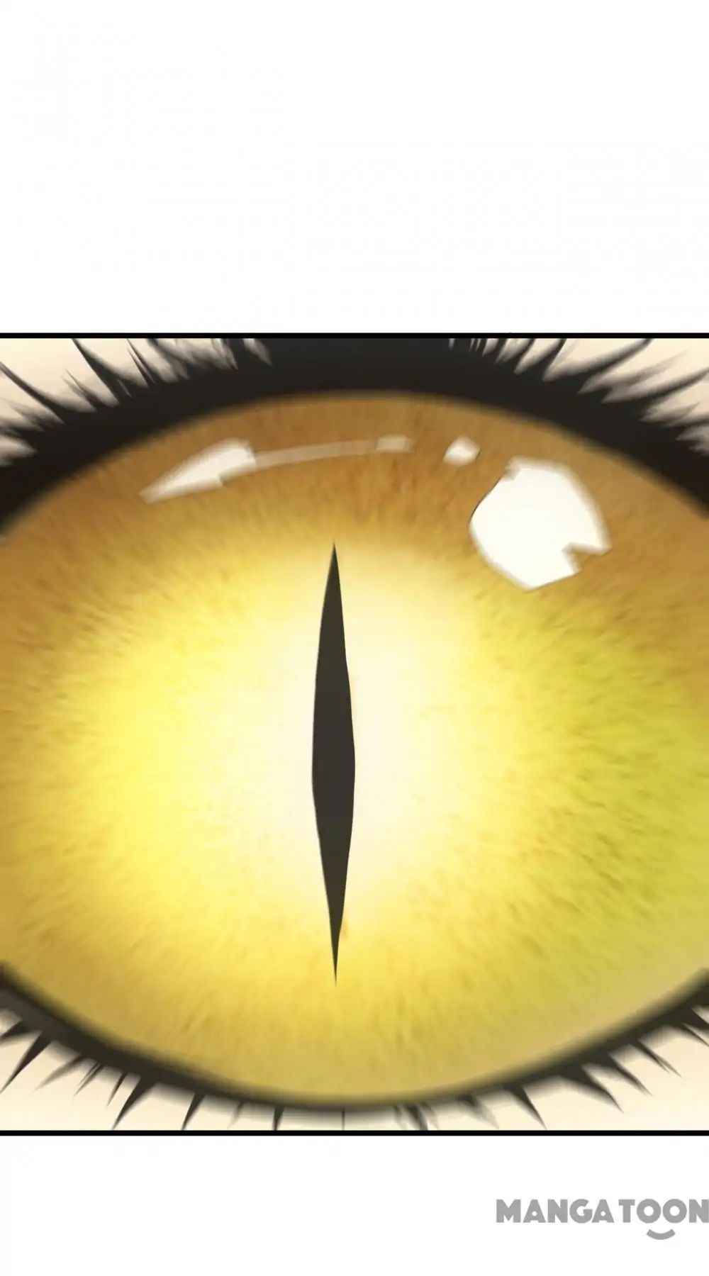 Page 40 of Chapter 10