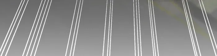 Page 50 of Chapter 14