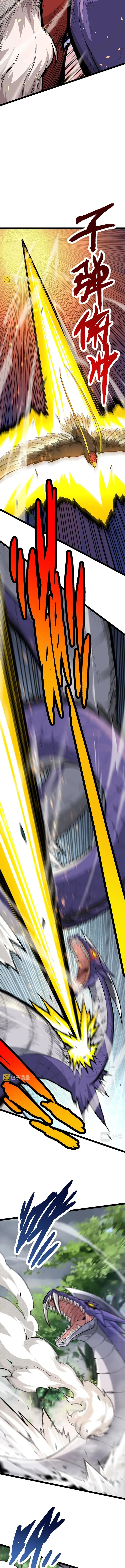 Page 17 of Chapter 11