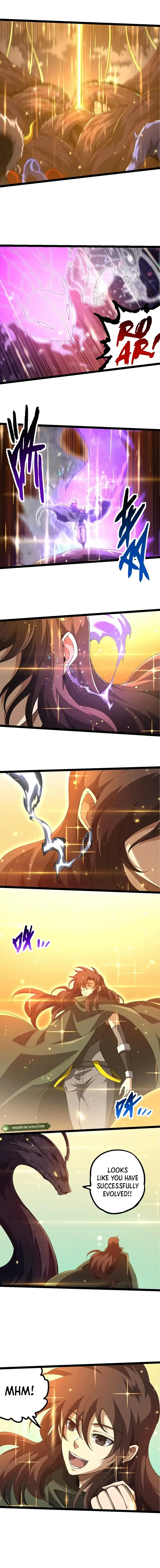 Page 4 of Chapter 209