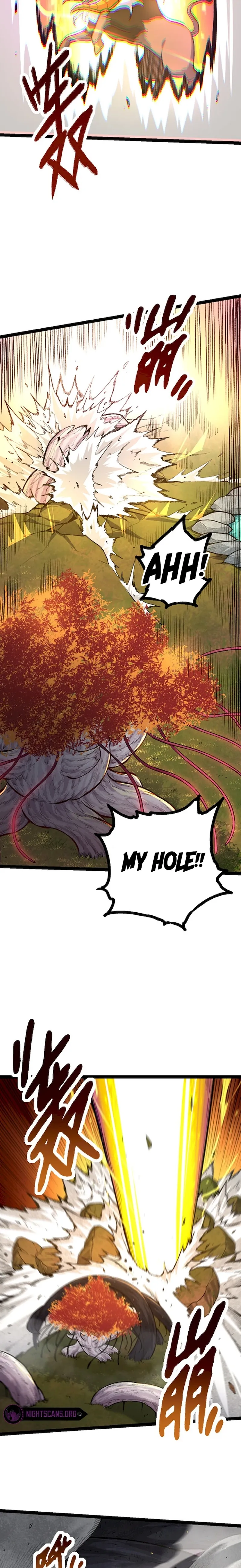 Page 13 of Chapter 43
