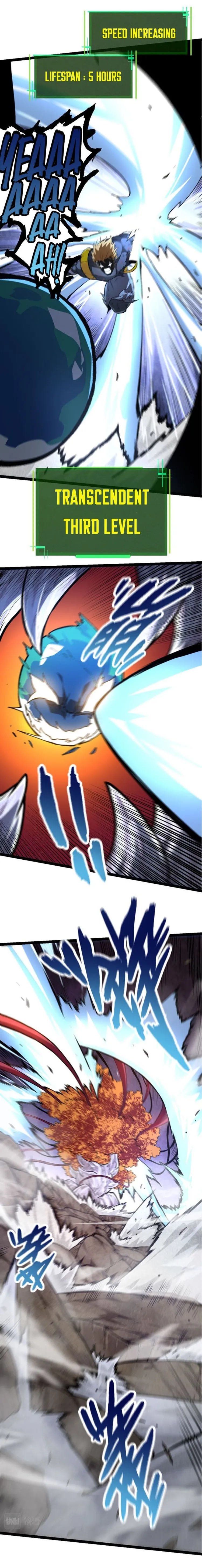 Page 19 of Chapter 63