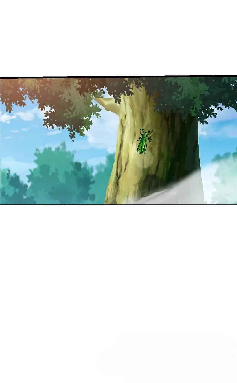 Page 5 of Chapter 243