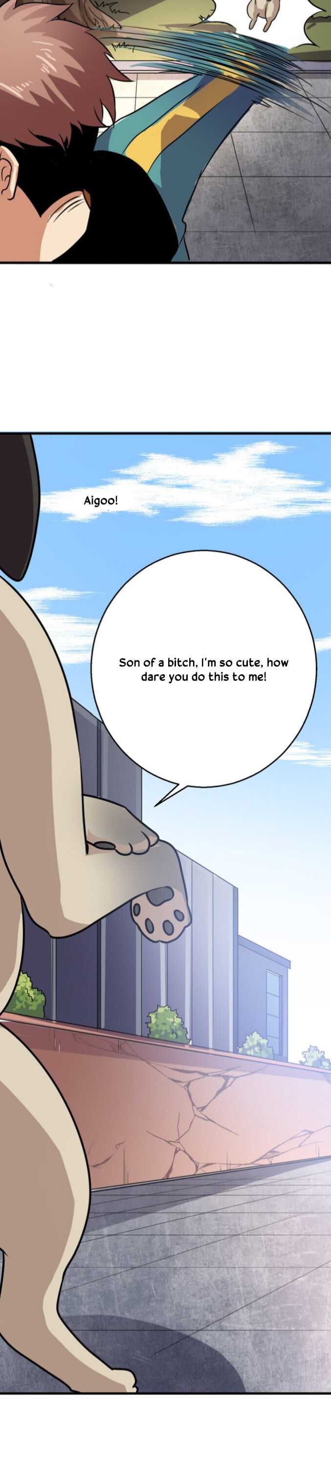 Page 13 of Chapter 12