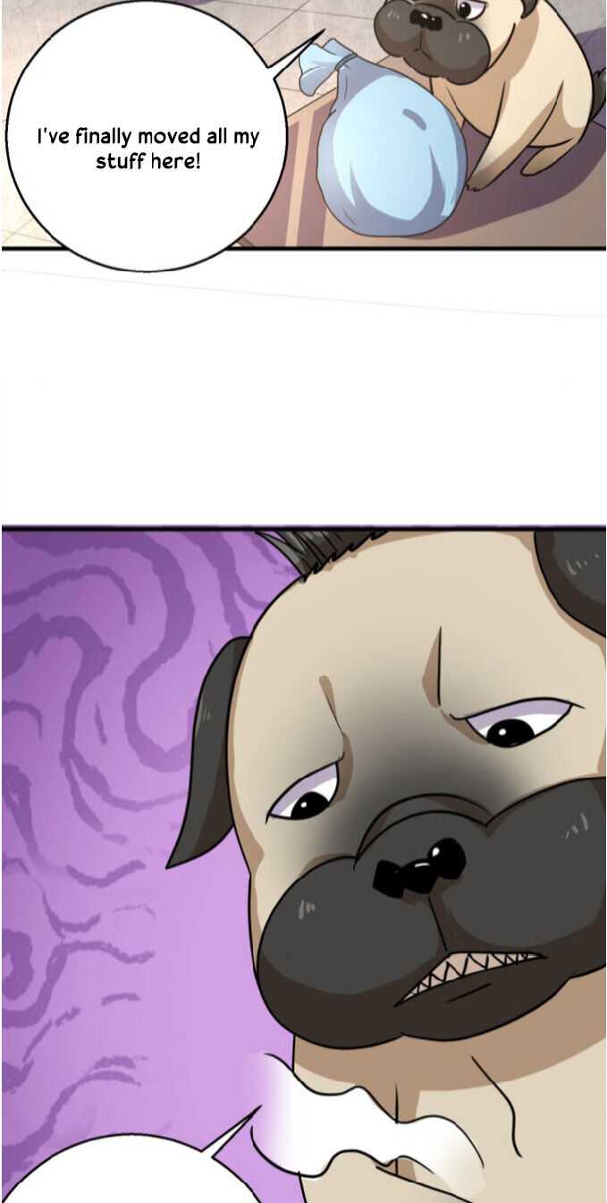 Page 26 of Chapter 16