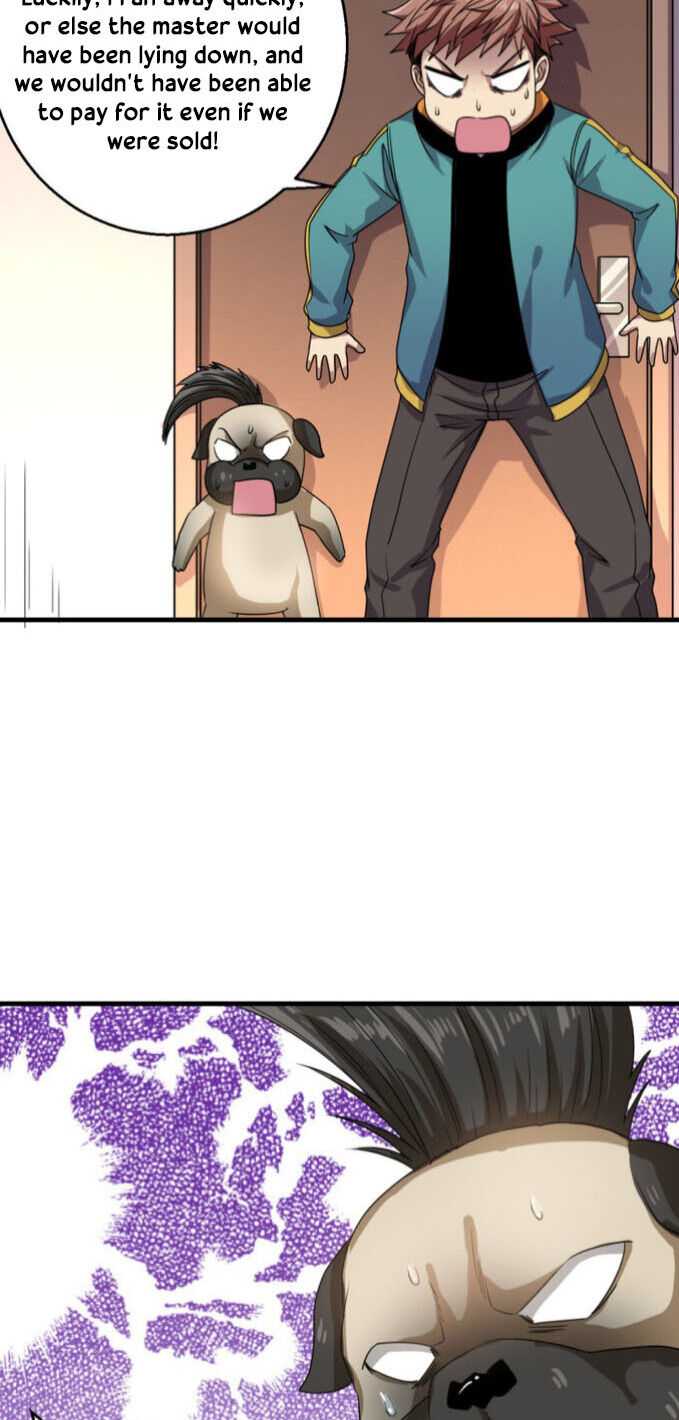 Page 7 of Chapter 17
