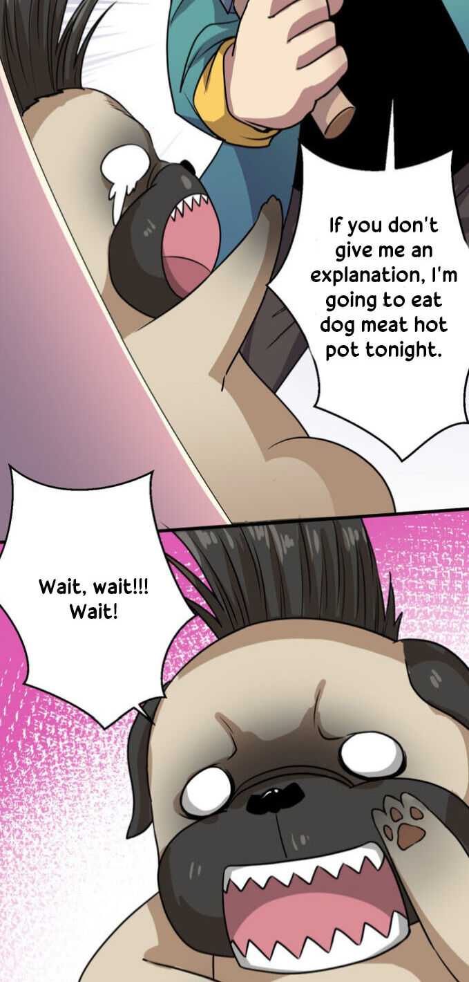 Page 10 of Chapter 17