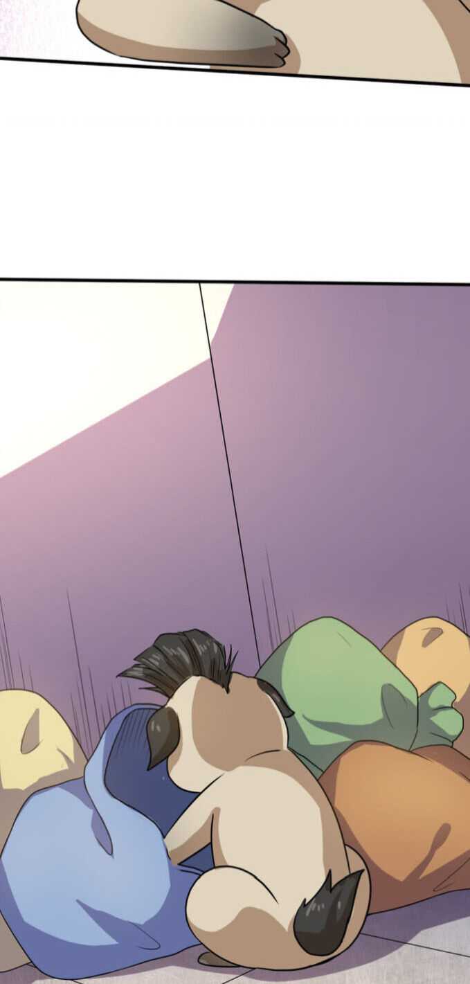 Page 11 of Chapter 17