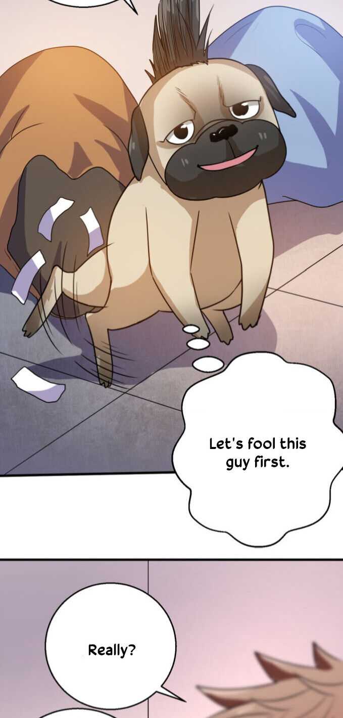 Page 15 of Chapter 17