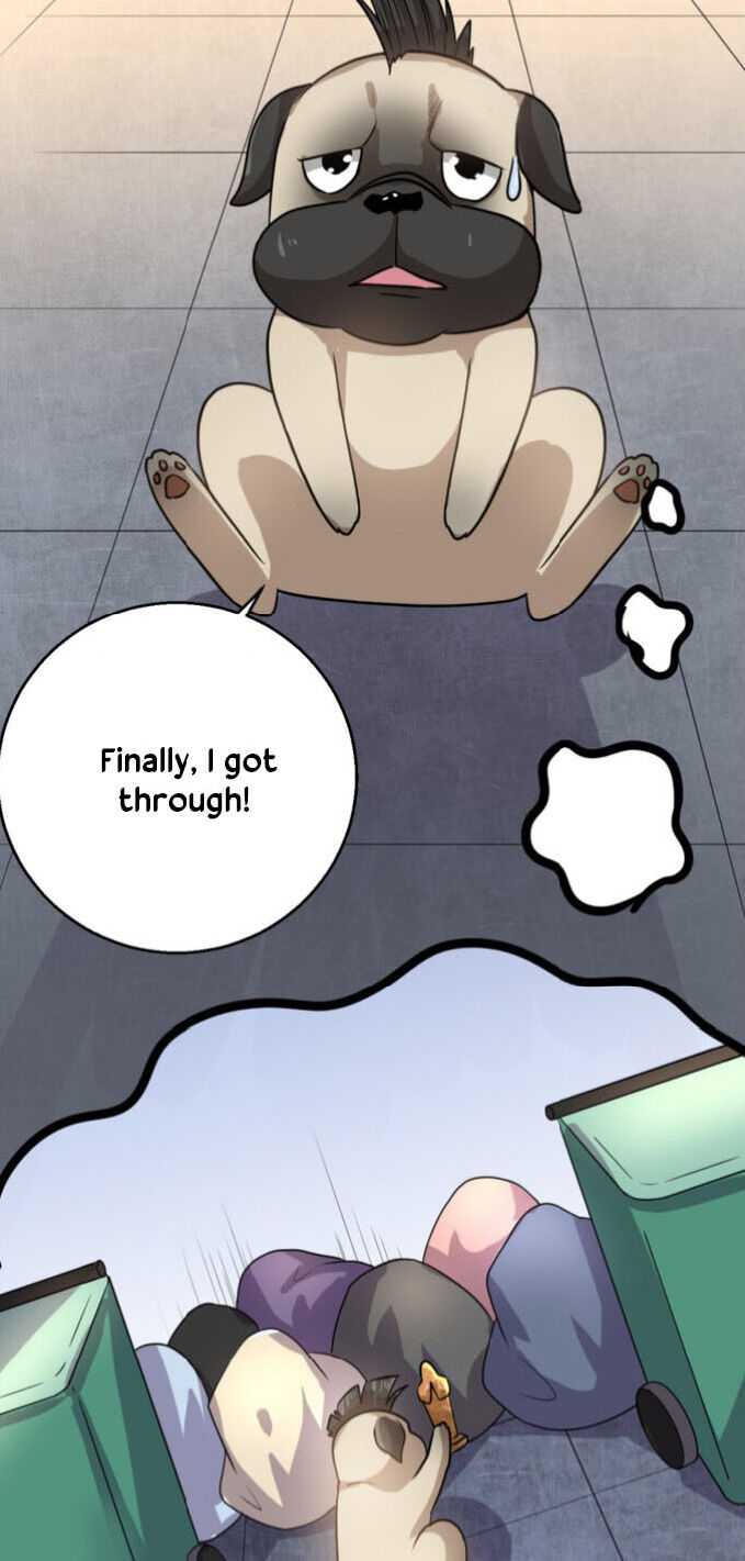 Page 24 of Chapter 17