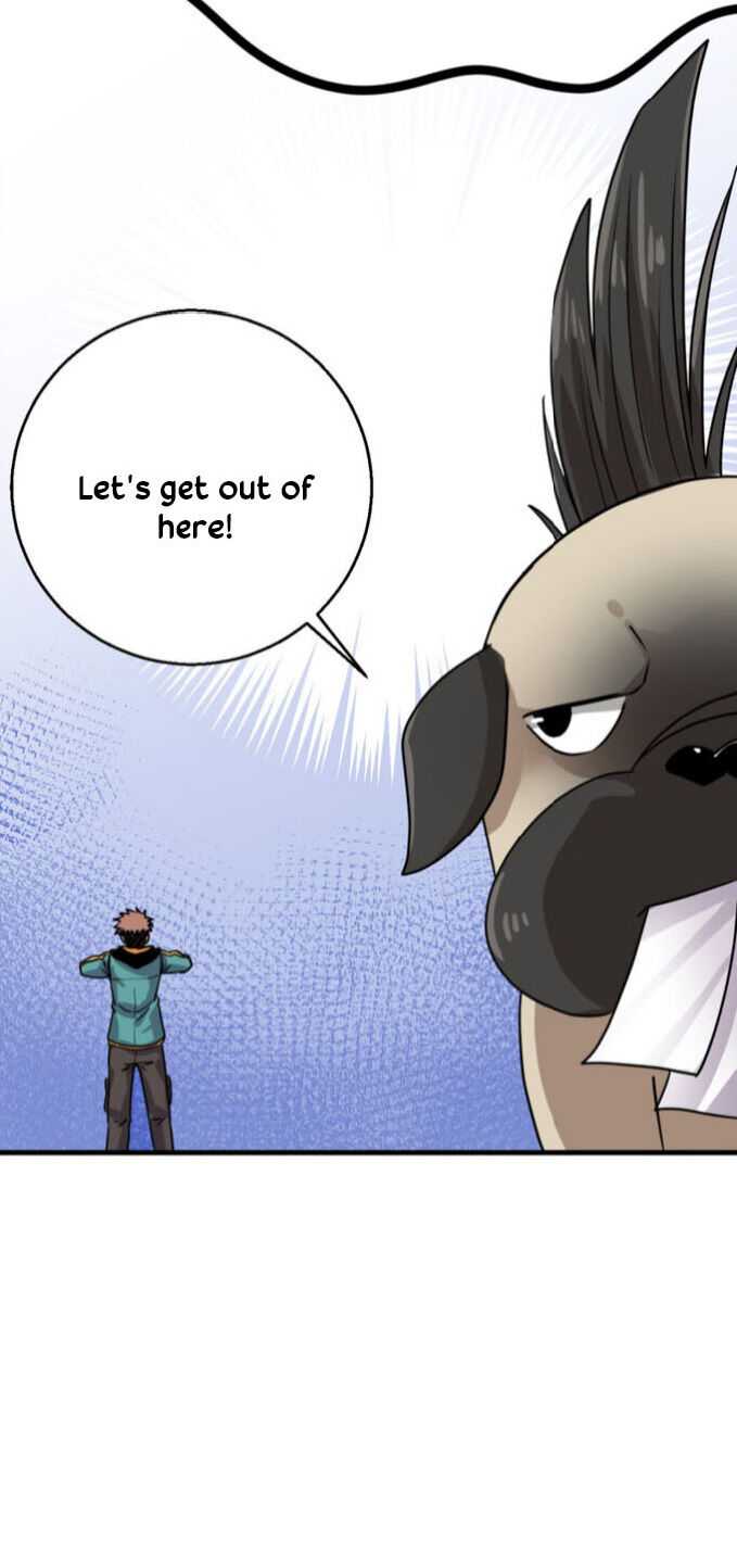 Page 26 of Chapter 17