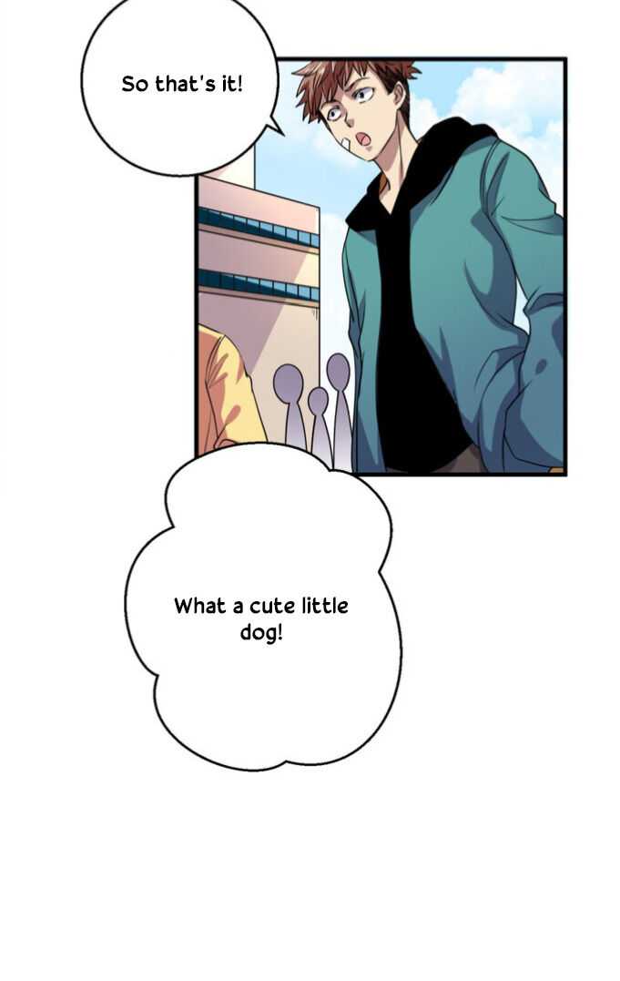 Page 12 of Chapter 19