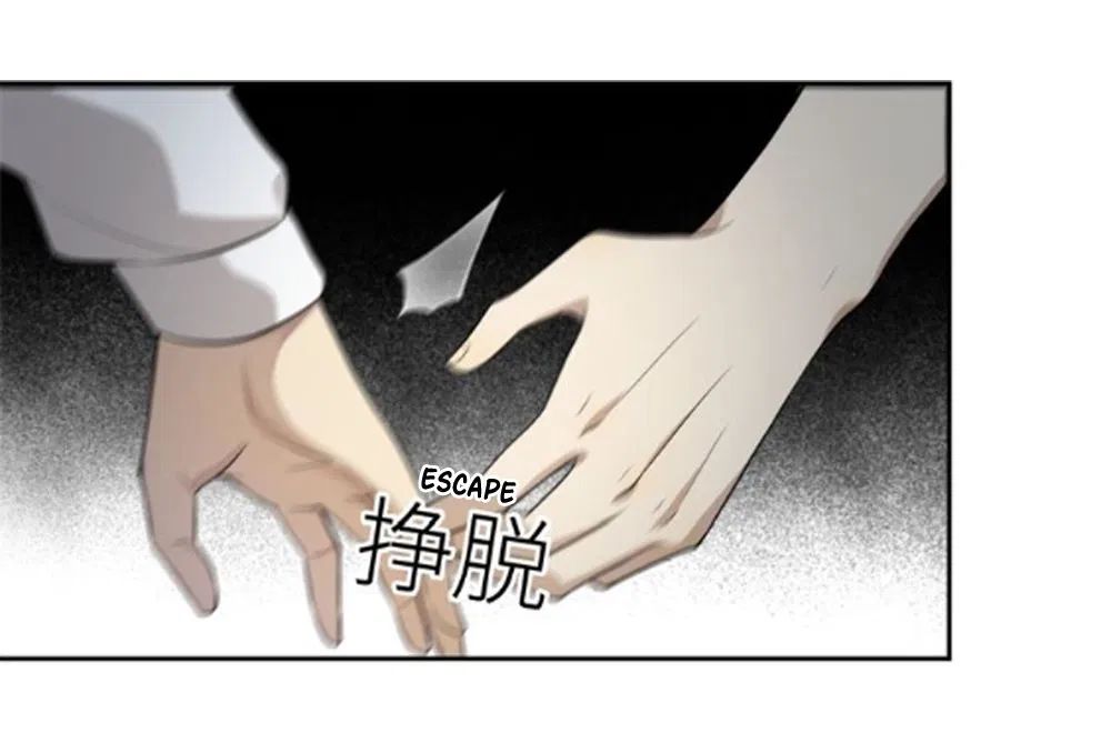 Page 12 of Chapter 17