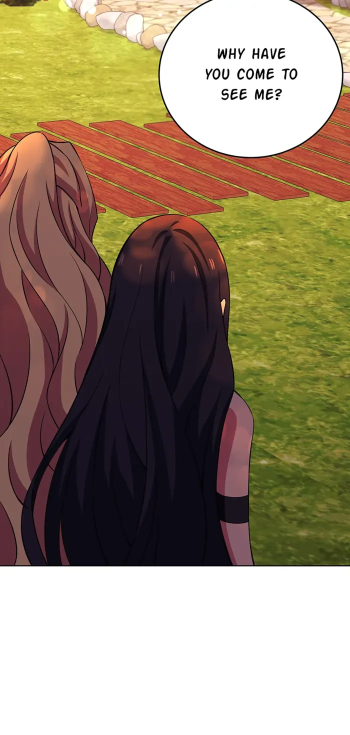 Page 17 of Chapter 84