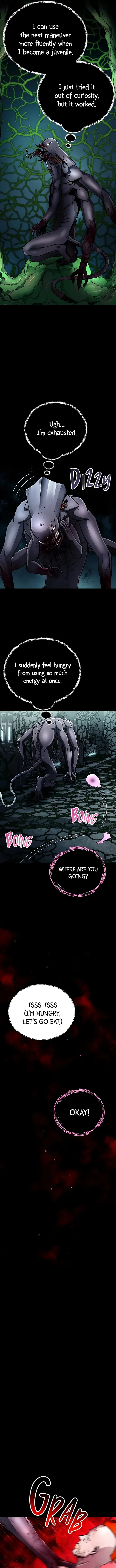 Page 5 of Chapter 41