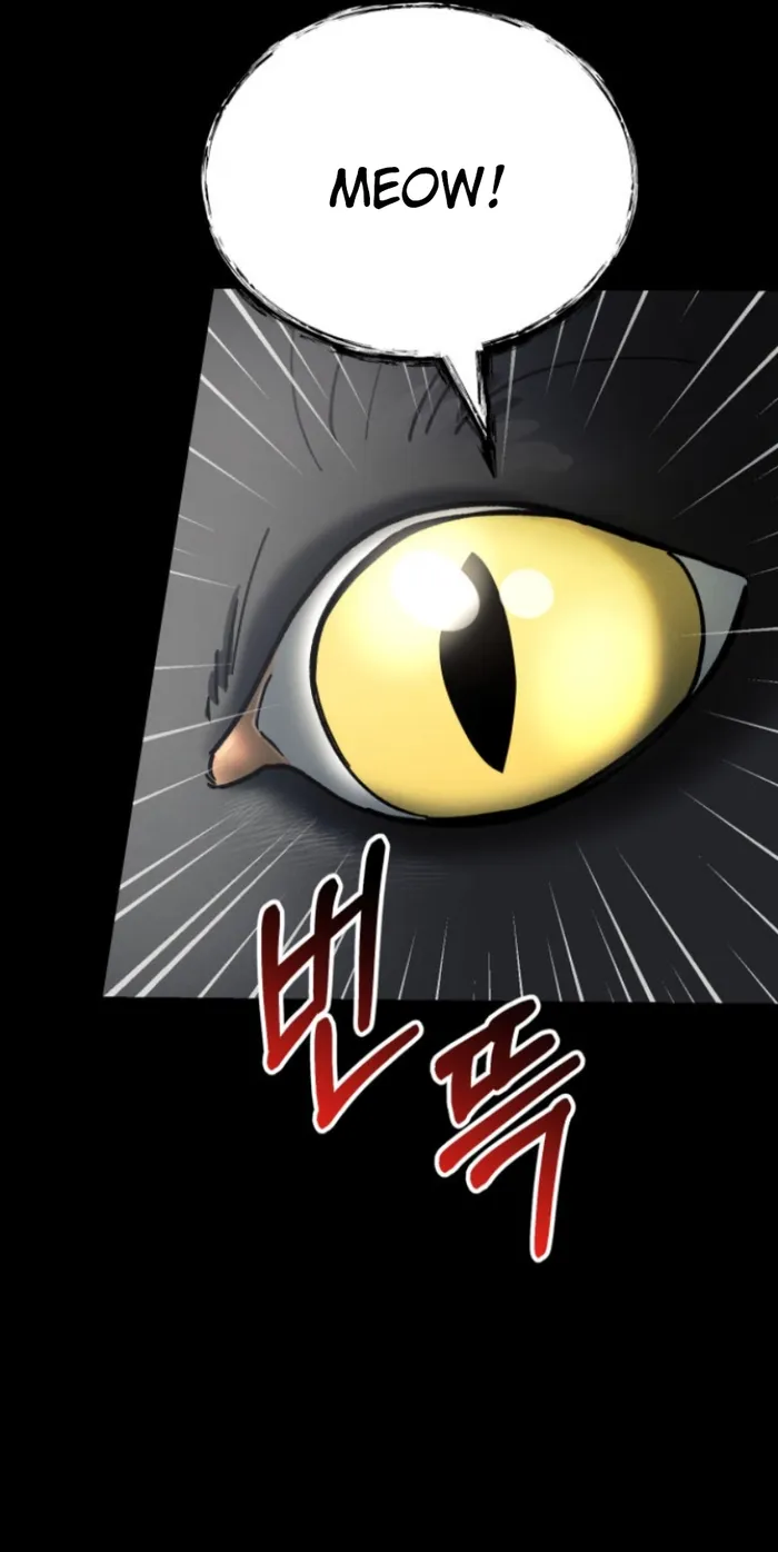 Page 37 of Chapter 8