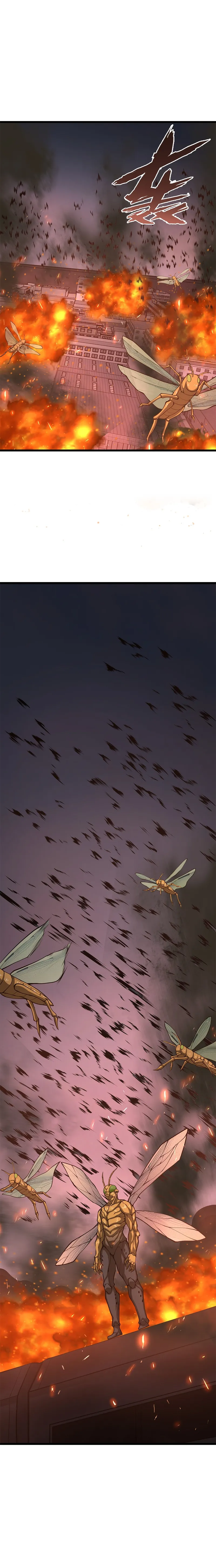 Page 17 of Chapter 31