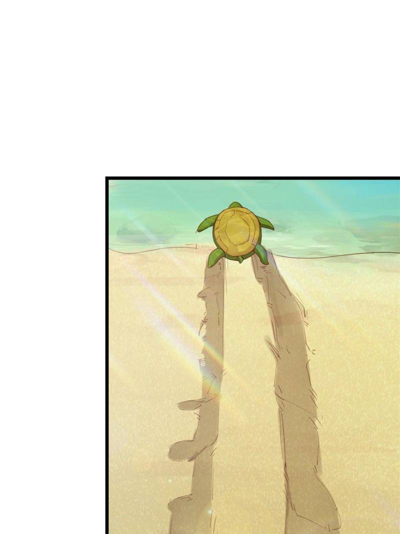 Page 41 of Chapter 215