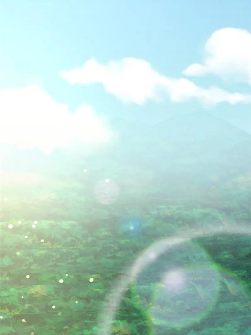 Page 13 of Chapter 233