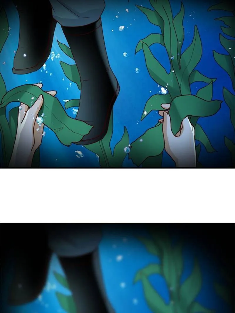 Page 13 of Chapter 254