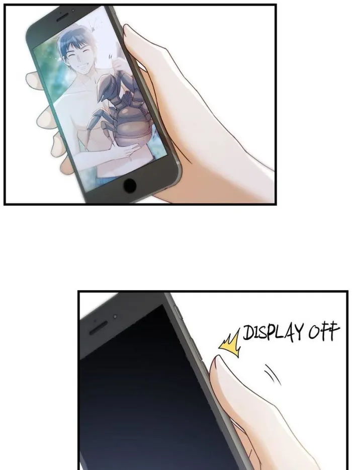 Page 43 of Chapter 288