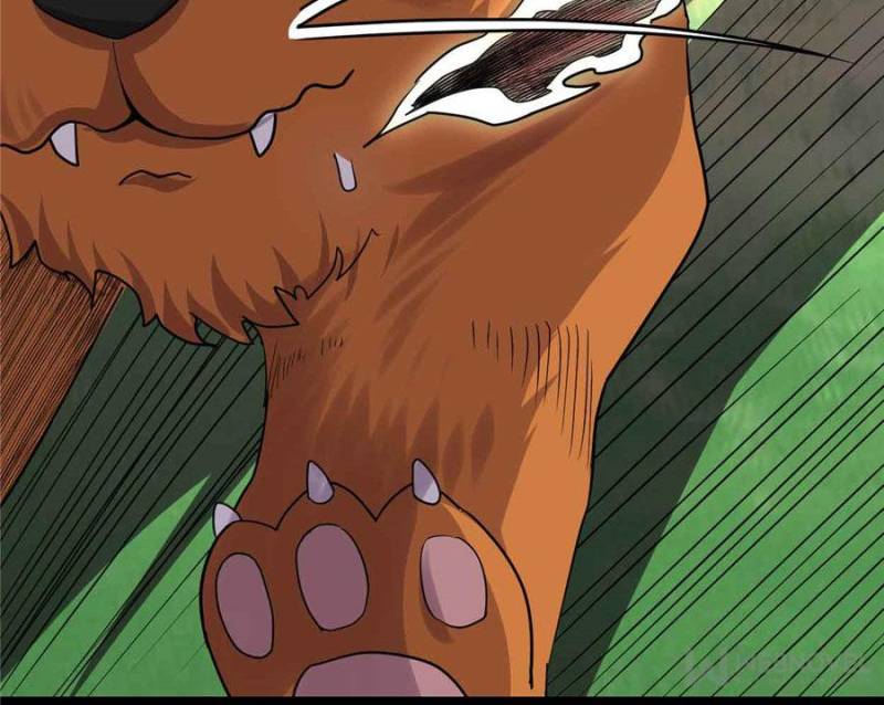 Page 47 of Chapter 129