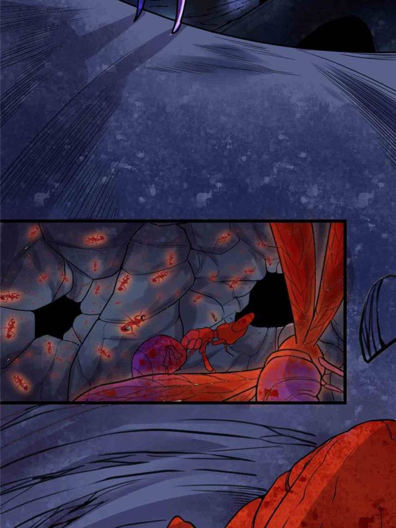 Page 26 of Chapter 147