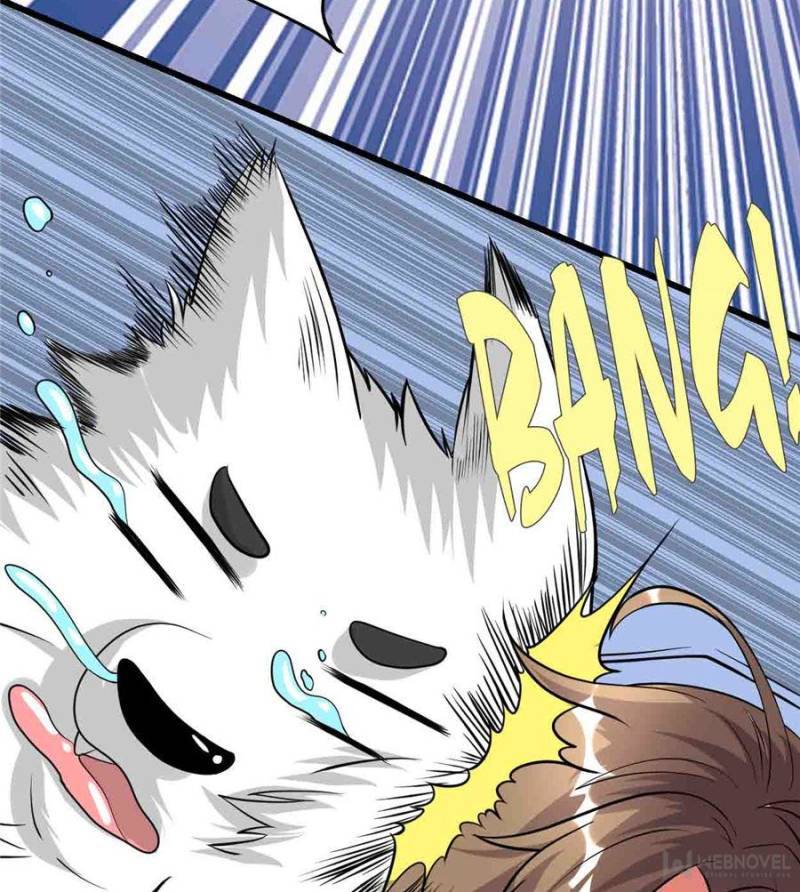 Page 13 of Chapter 155