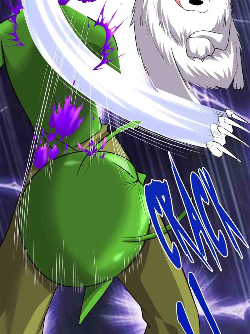 Page 19 of Chapter 224