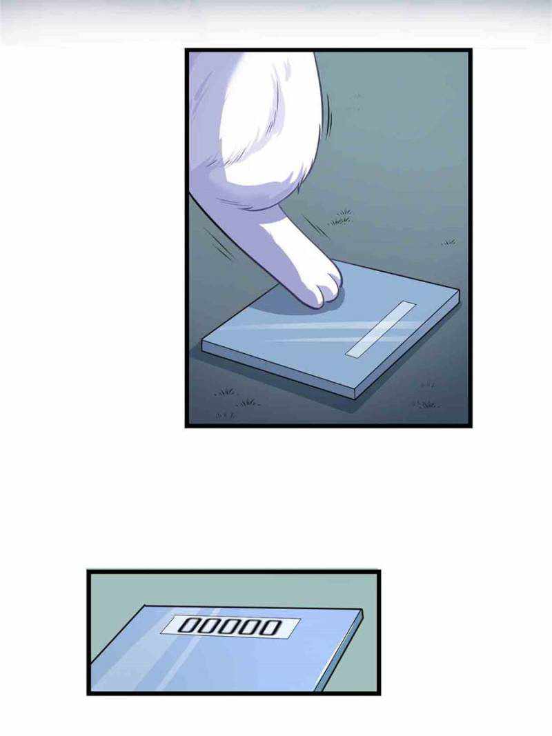 Page 22 of Chapter 236