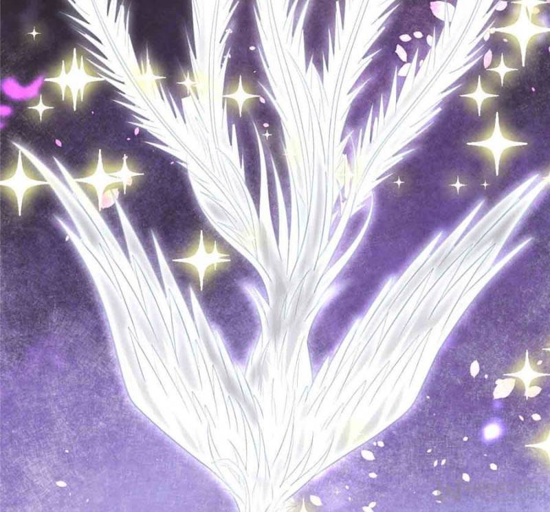Page 6 of Chapter 254