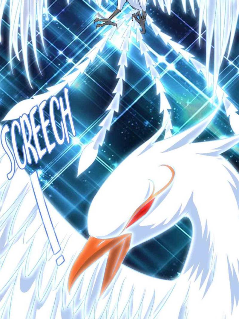 Page 13 of Chapter 257