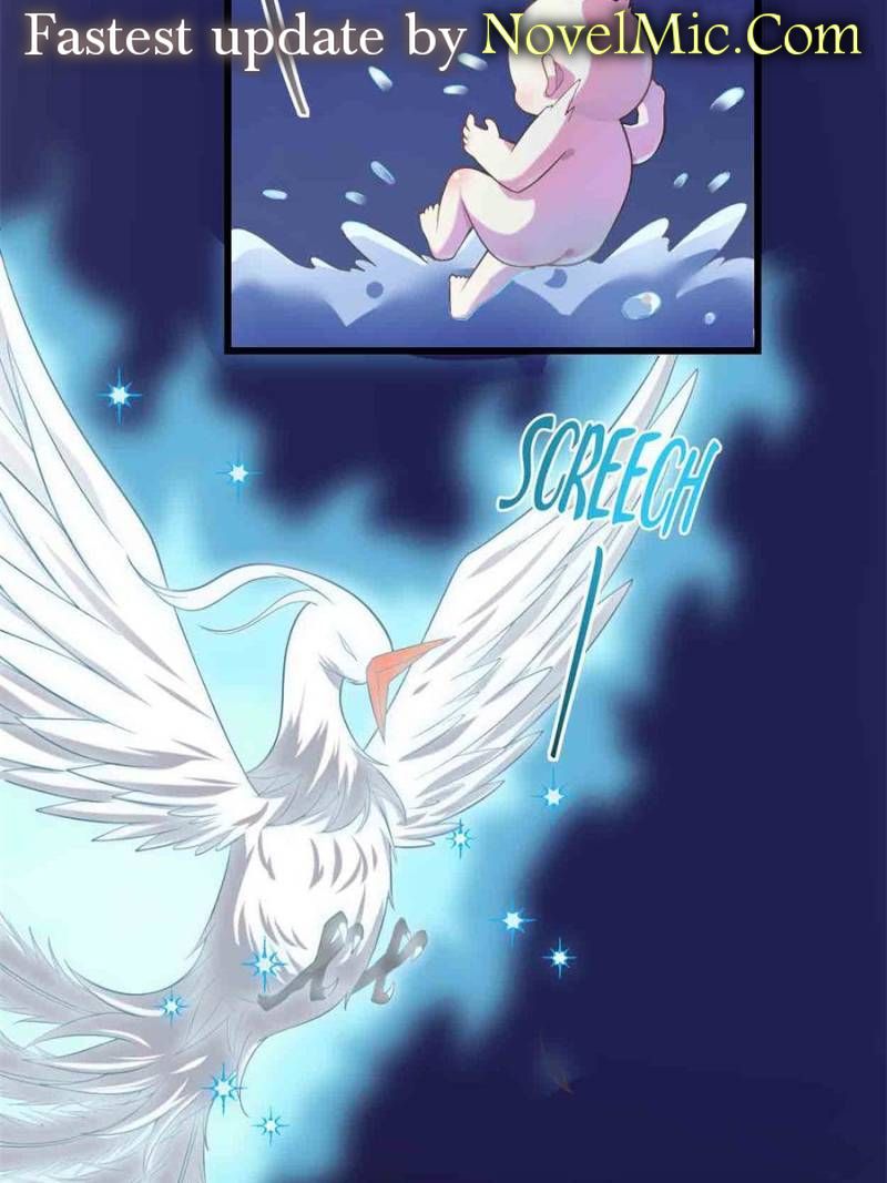 Page 5 of Chapter 260