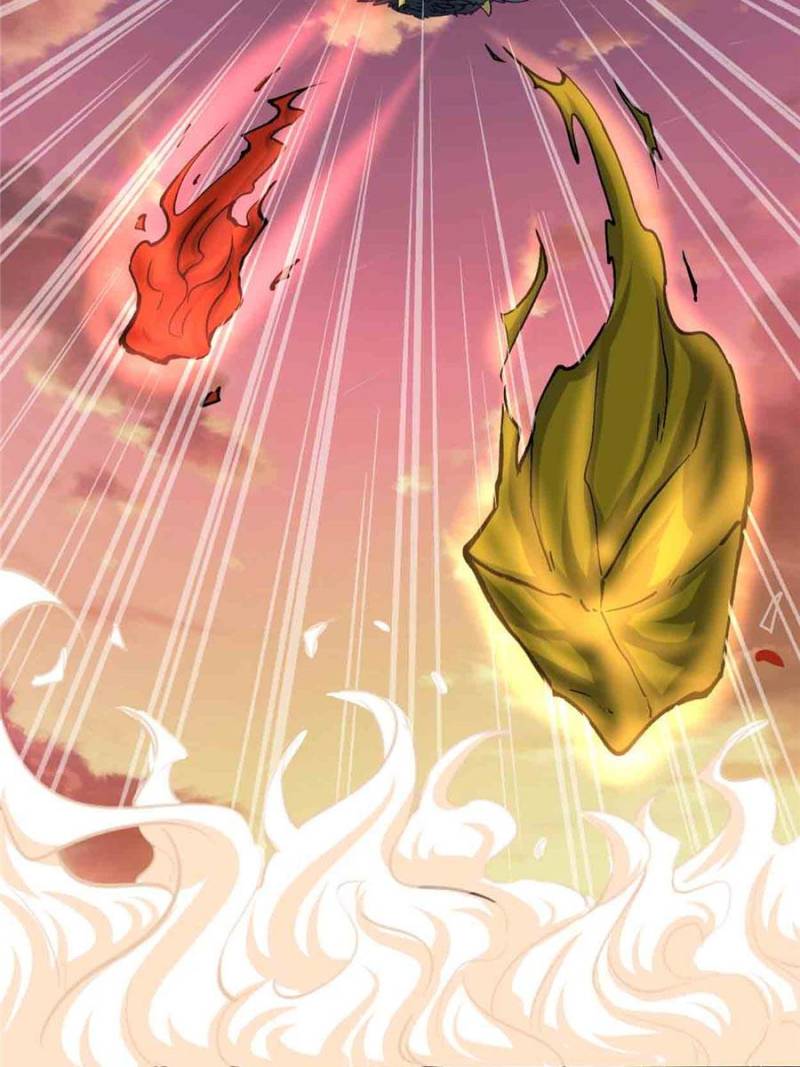 Page 13 of Chapter 265