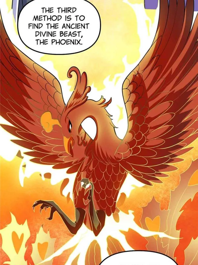 Page 13 of Chapter 276