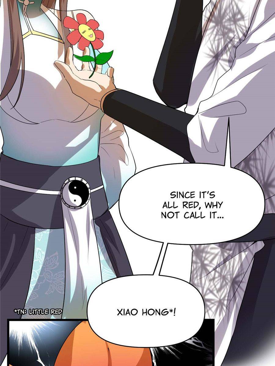 Page 43 of Chapter 33