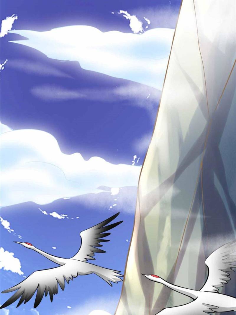 Page 52 of Chapter 74