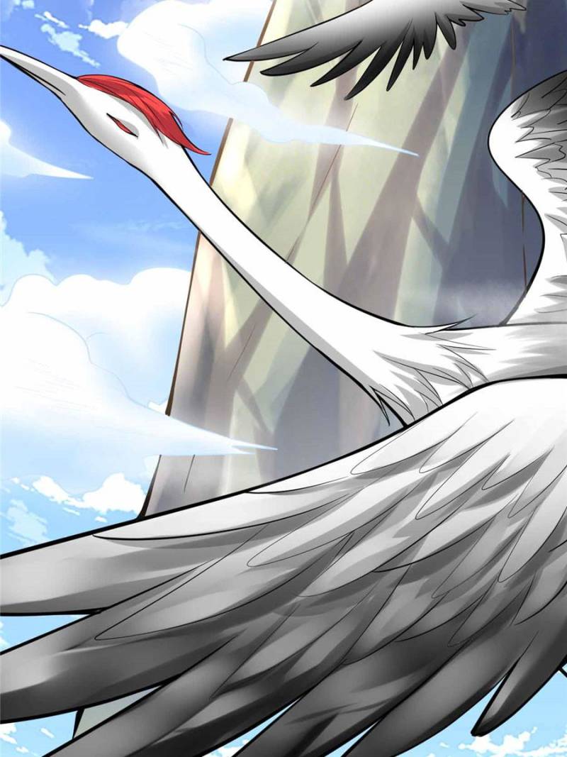 Page 53 of Chapter 74