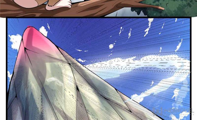 Page 57 of Chapter 74