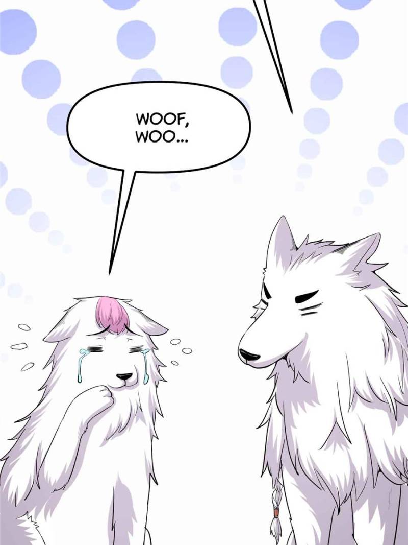 Page 19 of Chapter 95