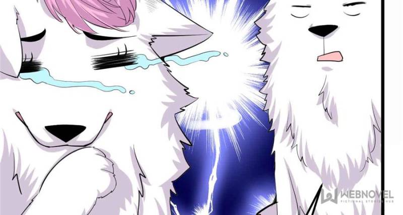 Page 21 of Chapter 95