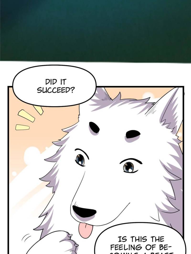 Page 14 of Chapter 96