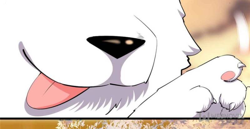 Page 3 of Chapter 97