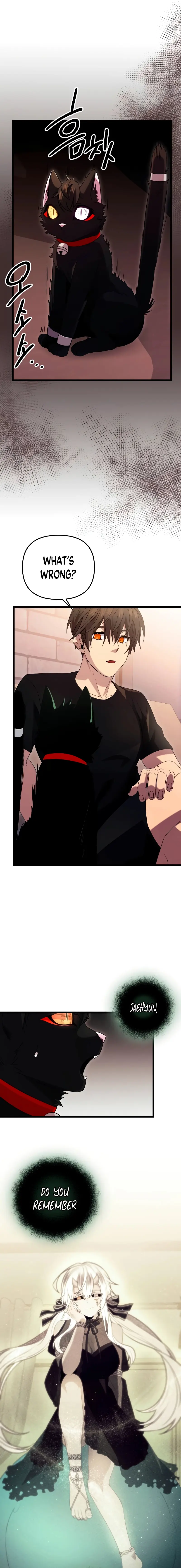 Page 13 of Chapter 96