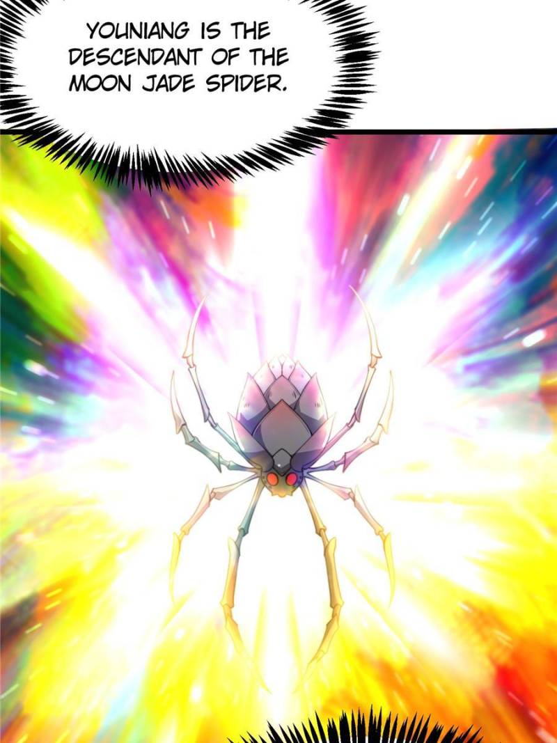 Page 43 of Chapter 209